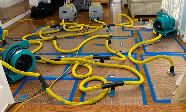Professional Water Extraction technician working in Troy, MI
